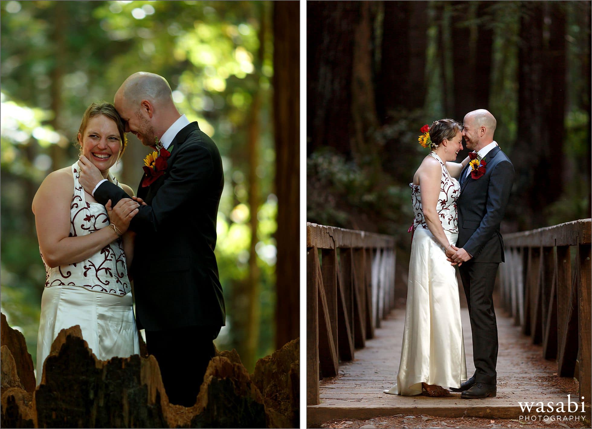 california redwoods wedding photos