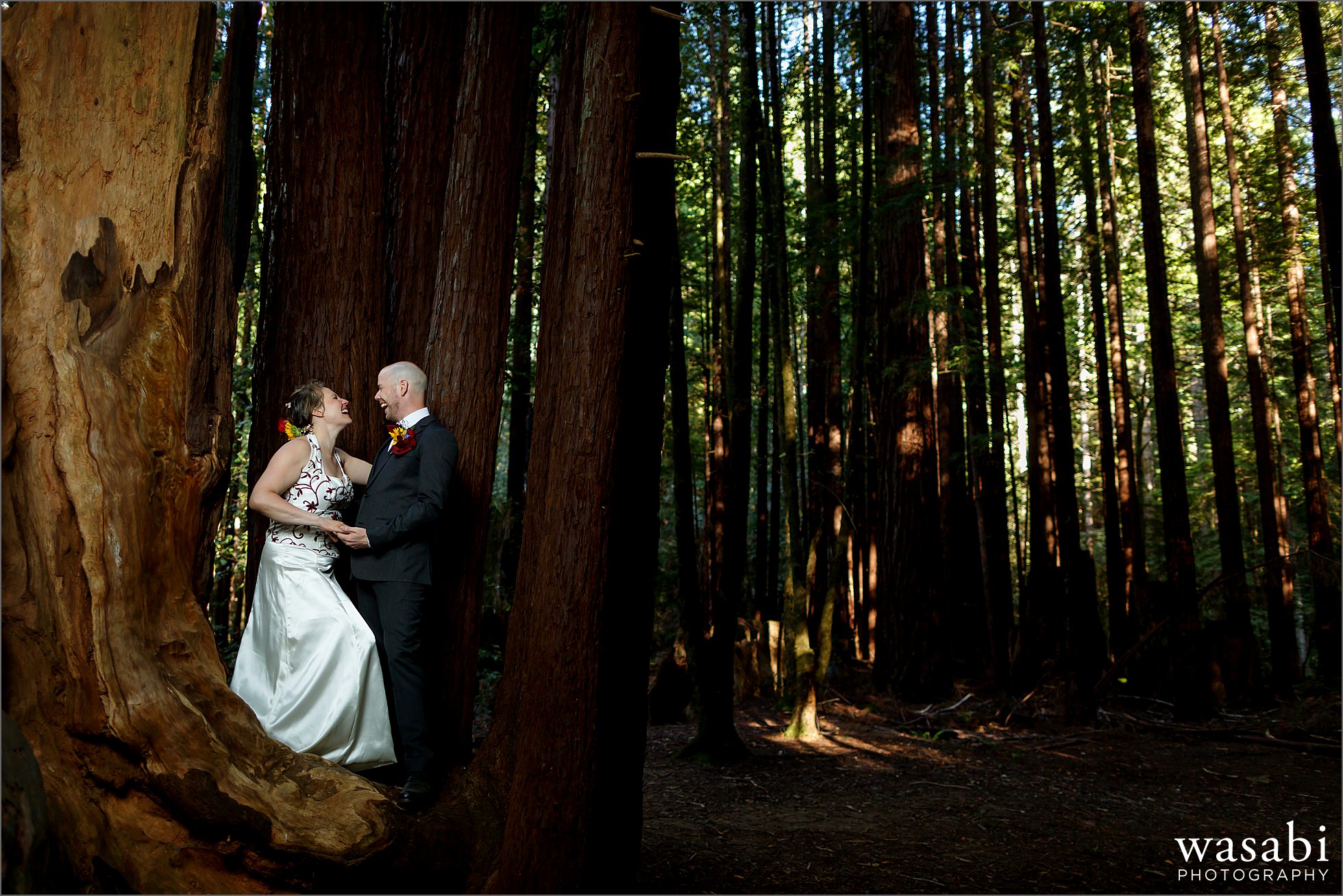 california redwoods wedding photos