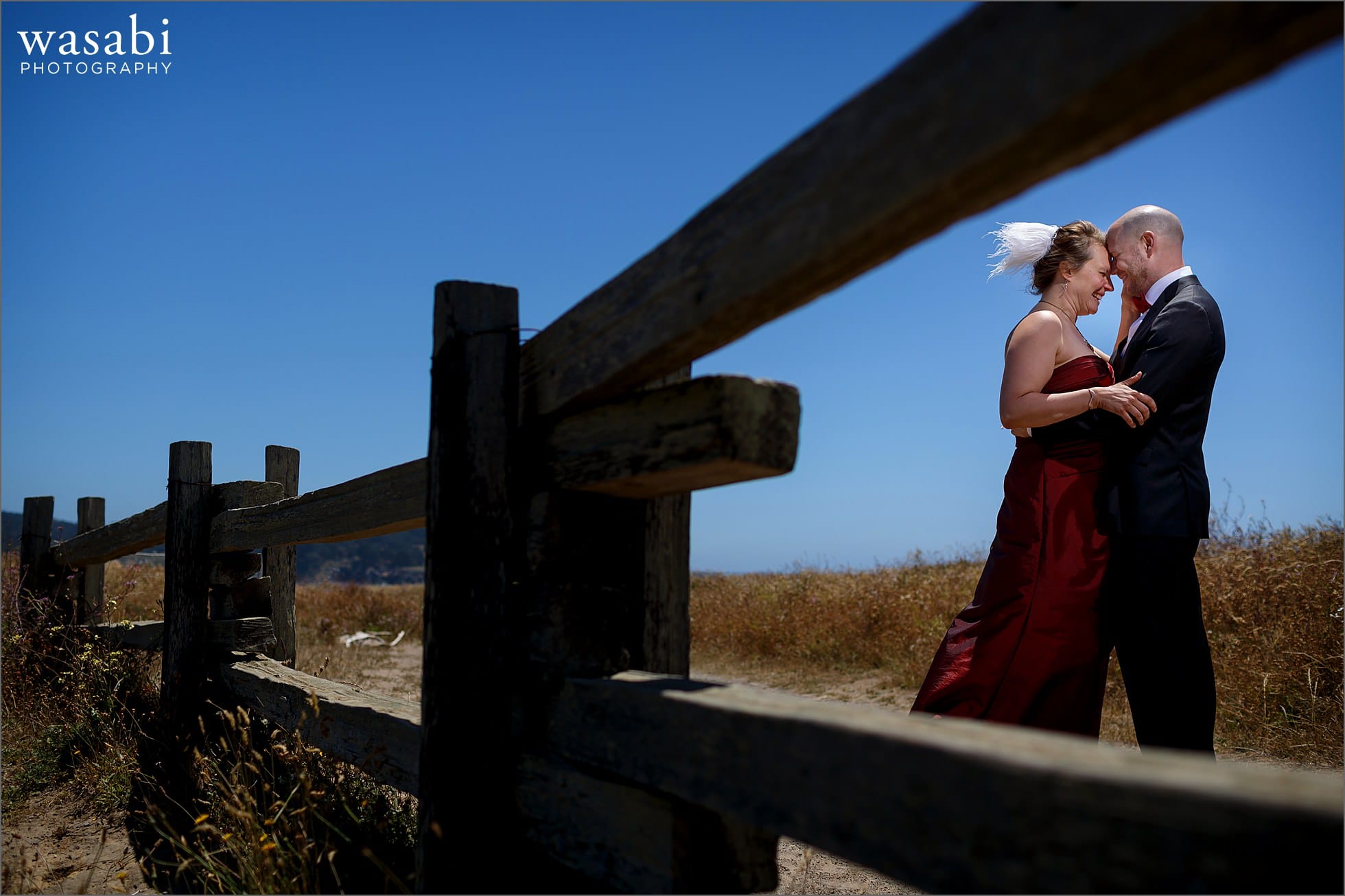 mendocino coast wedding photos