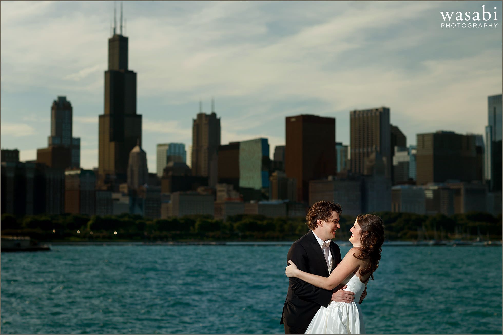 adler planetarium chicago wedding portraits