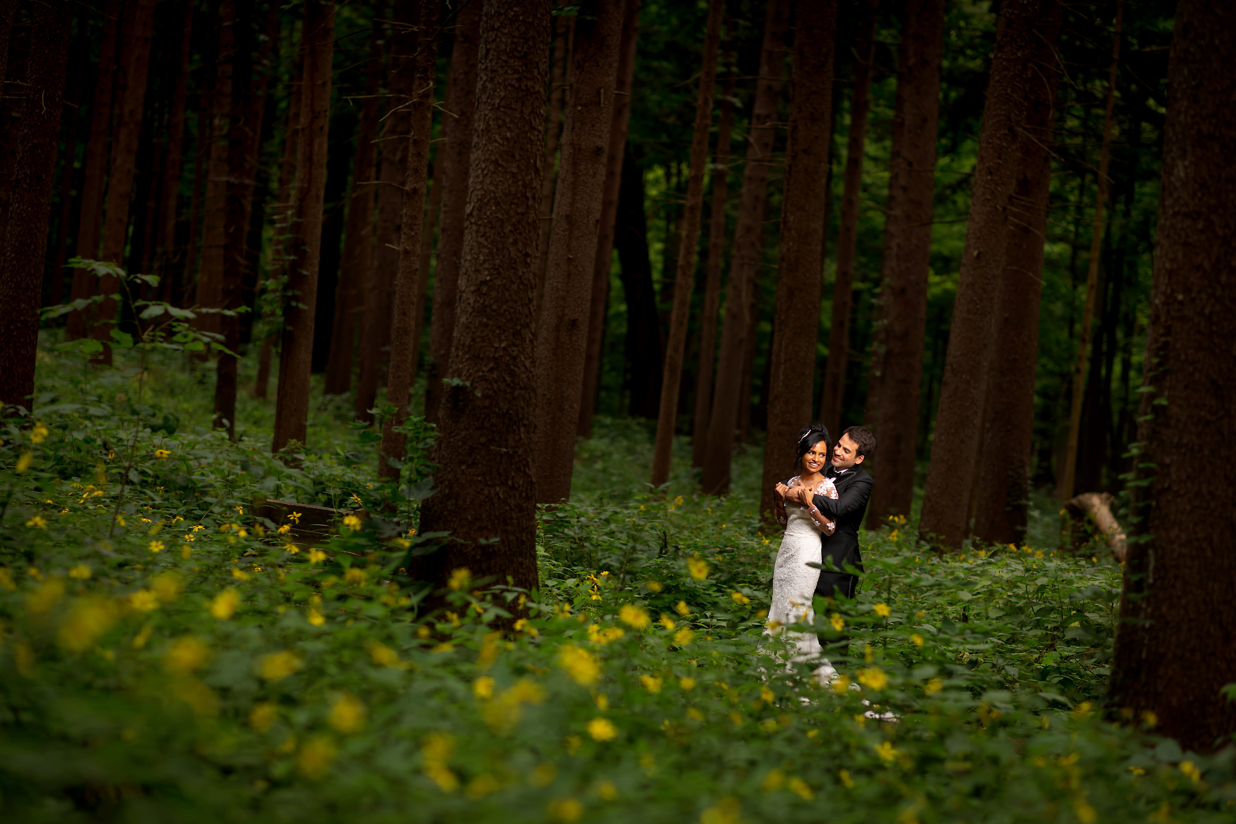 Wedding portrait of bride and groom at Morton Arboretum in the tall pine trees