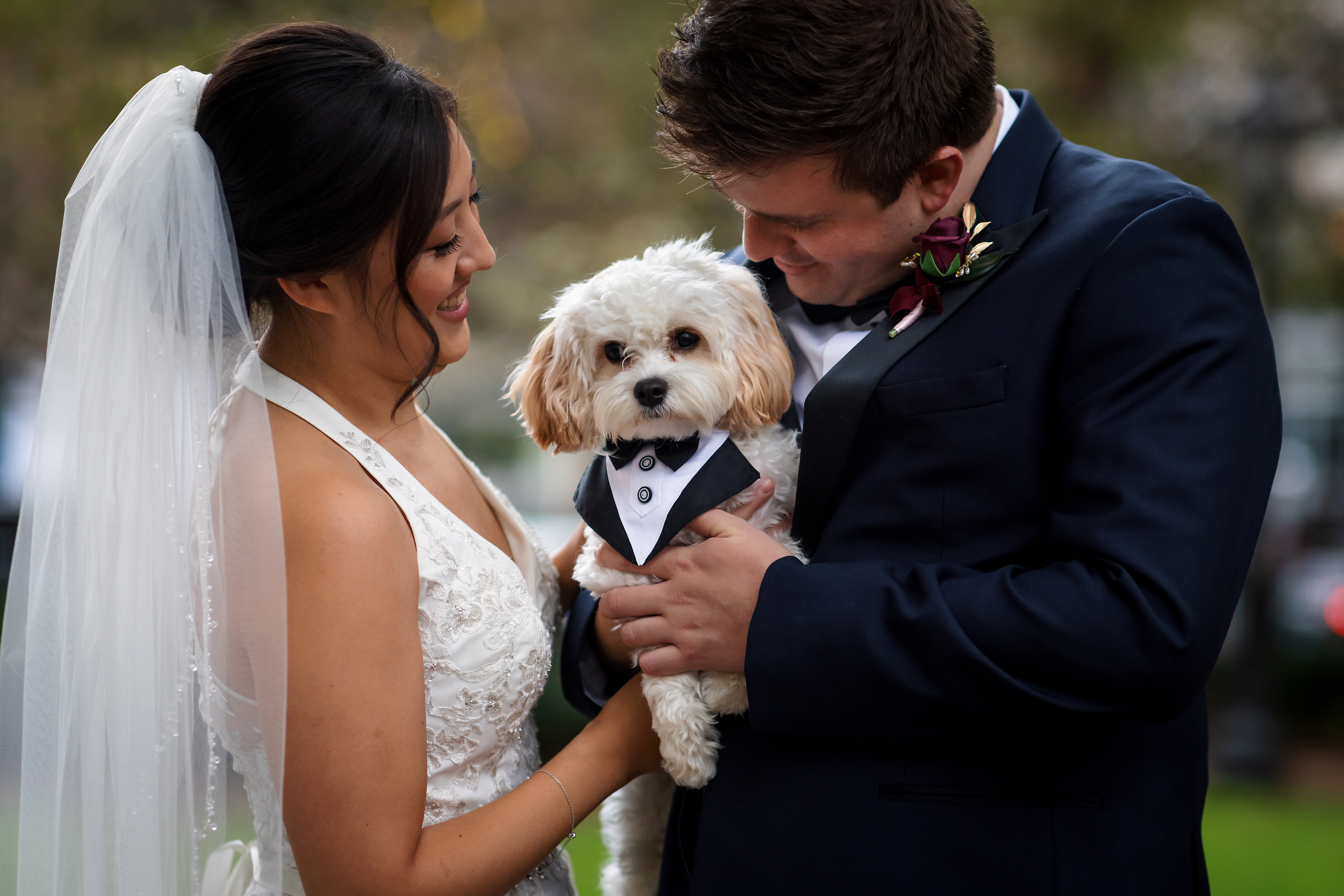 bride and groom with dog