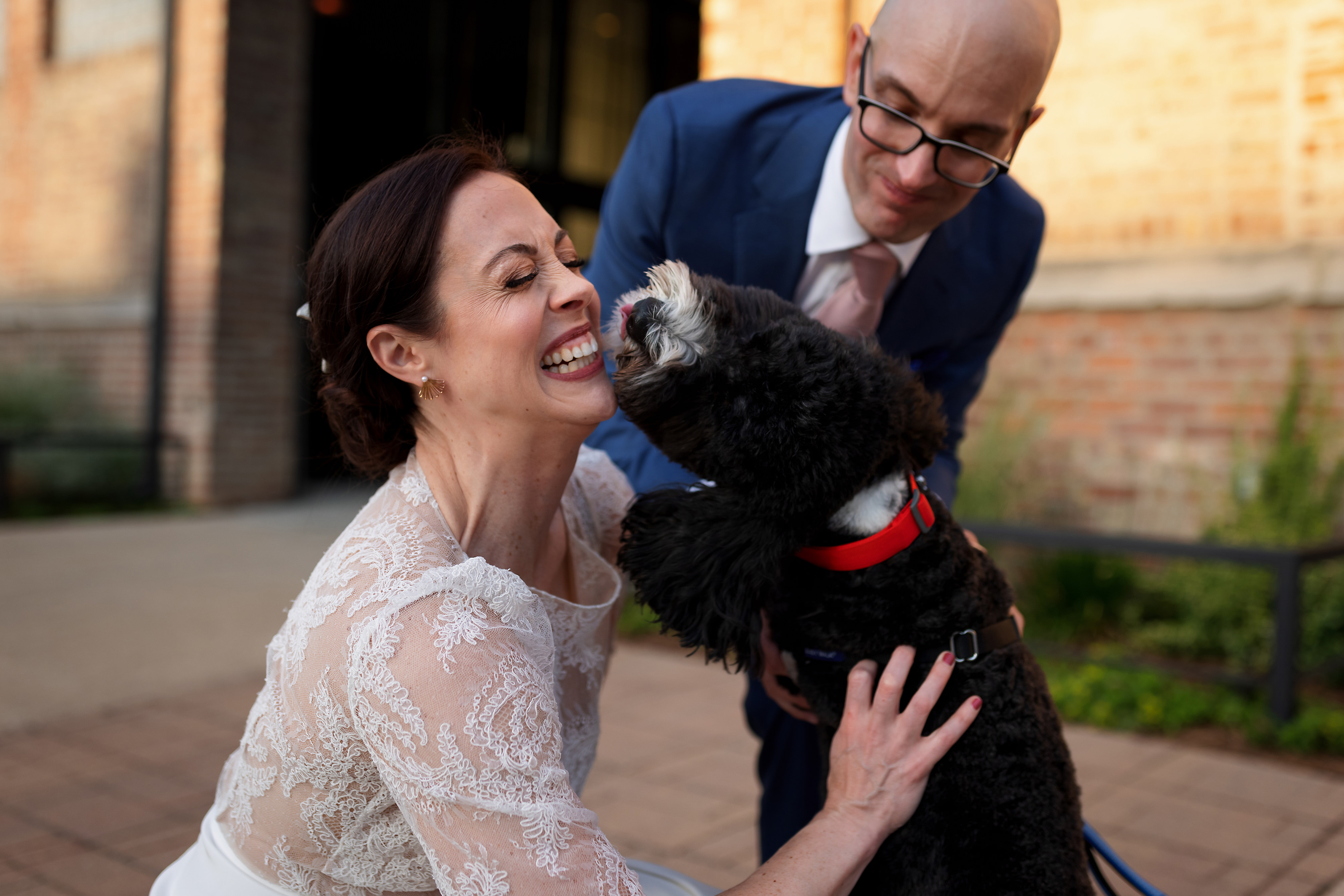 Bride and groom greet their dog after wedding ceremony