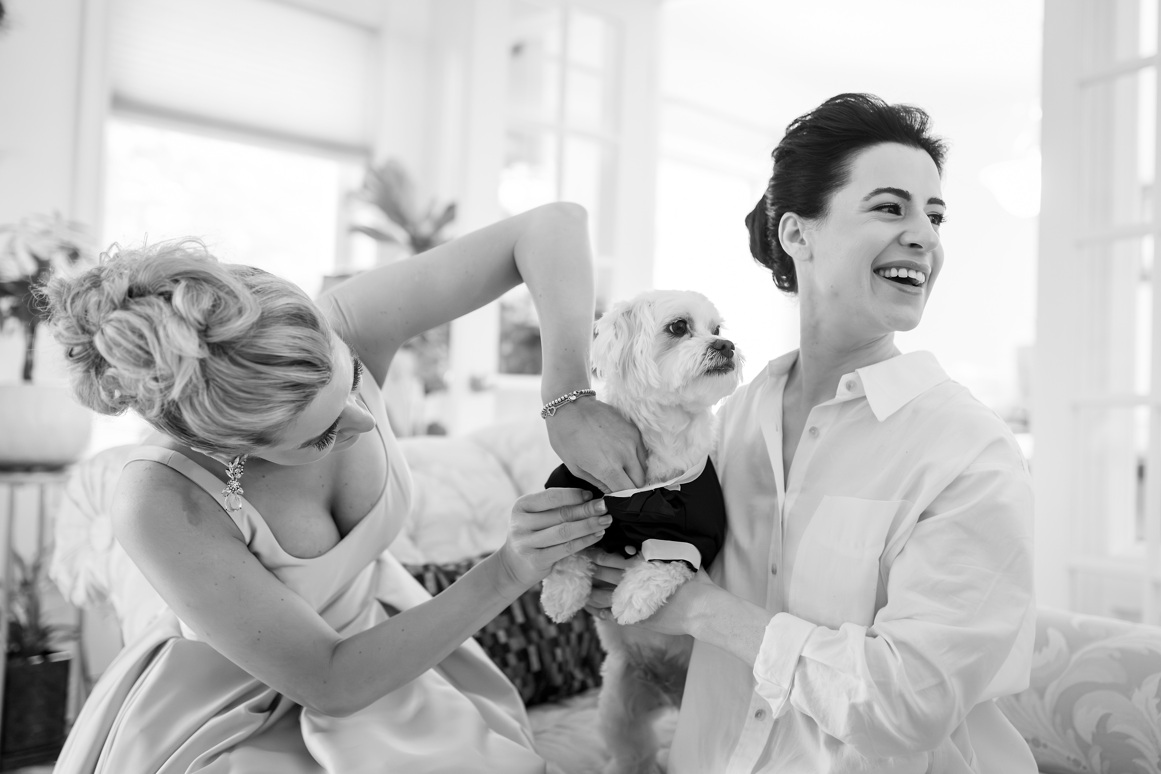 bride and sister put tuxedo on dog