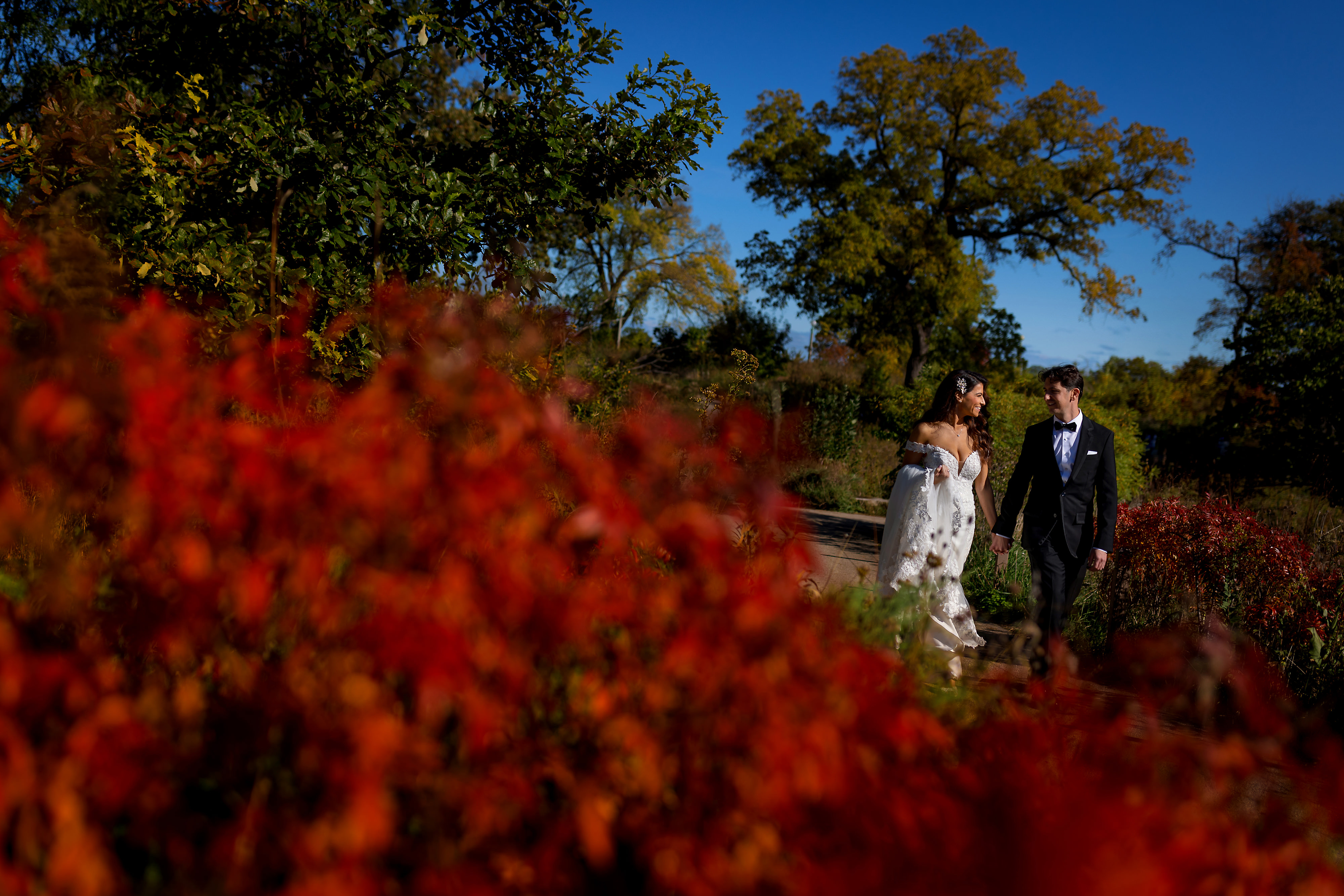 Bride and groom walk through Lincoln Park with red trees in the foreground