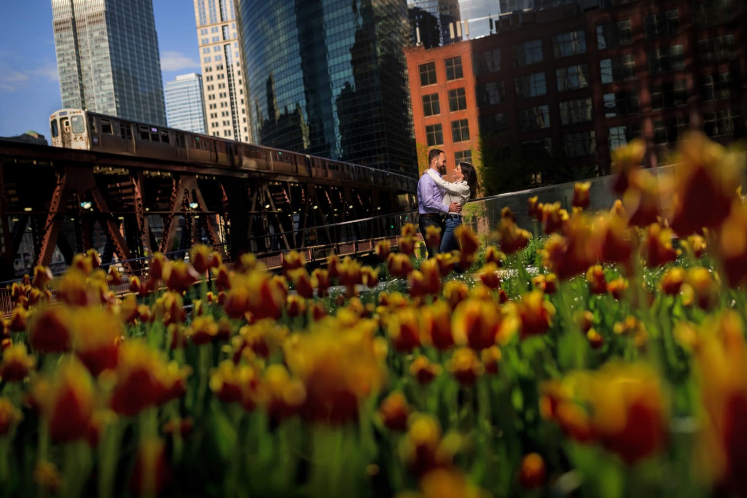 couple poses for engagement photos with El Train in background and Spring Flowers in forground near Chicago river at Wolf Point near Gibson’s Italia